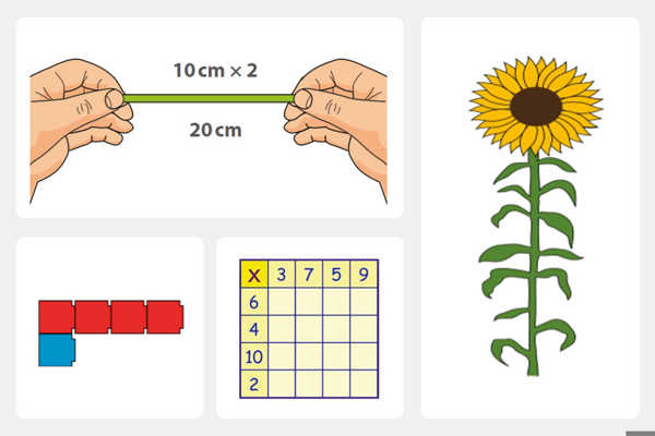 Primary ITE Materials